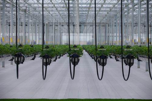 1628558880556375.jpg 1628558880556375.jpg