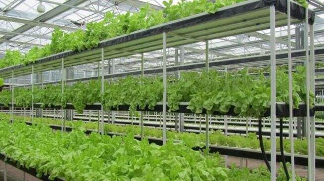 1628558880819537.jpg 1628558880819537.jpg