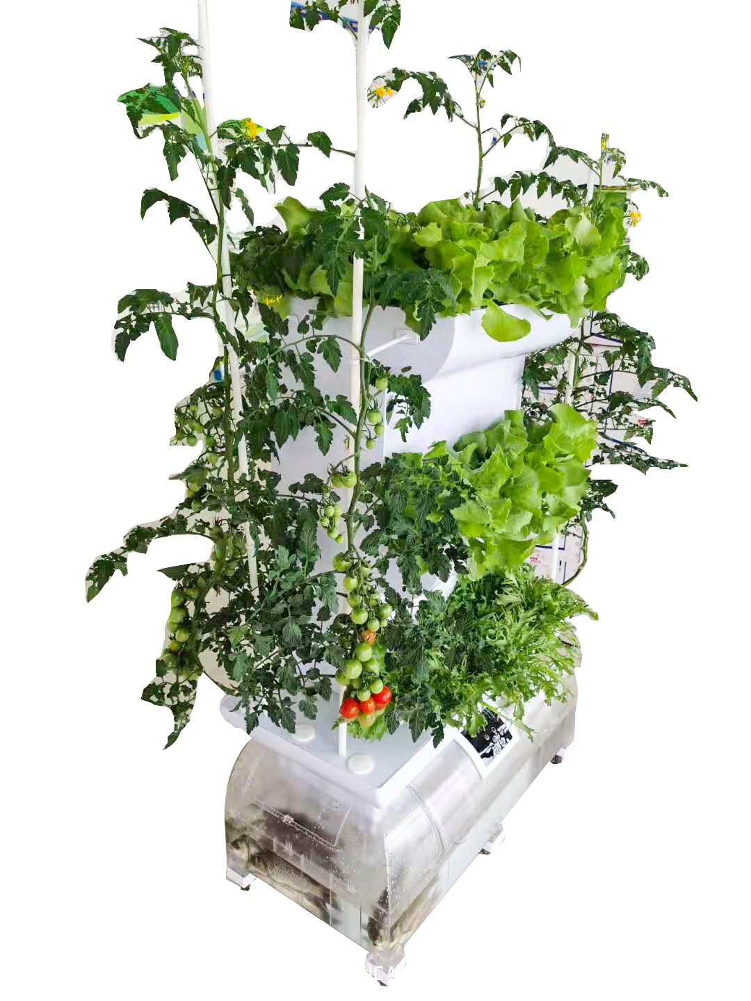 1628590137861807.jpg 1628590137861807.jpg