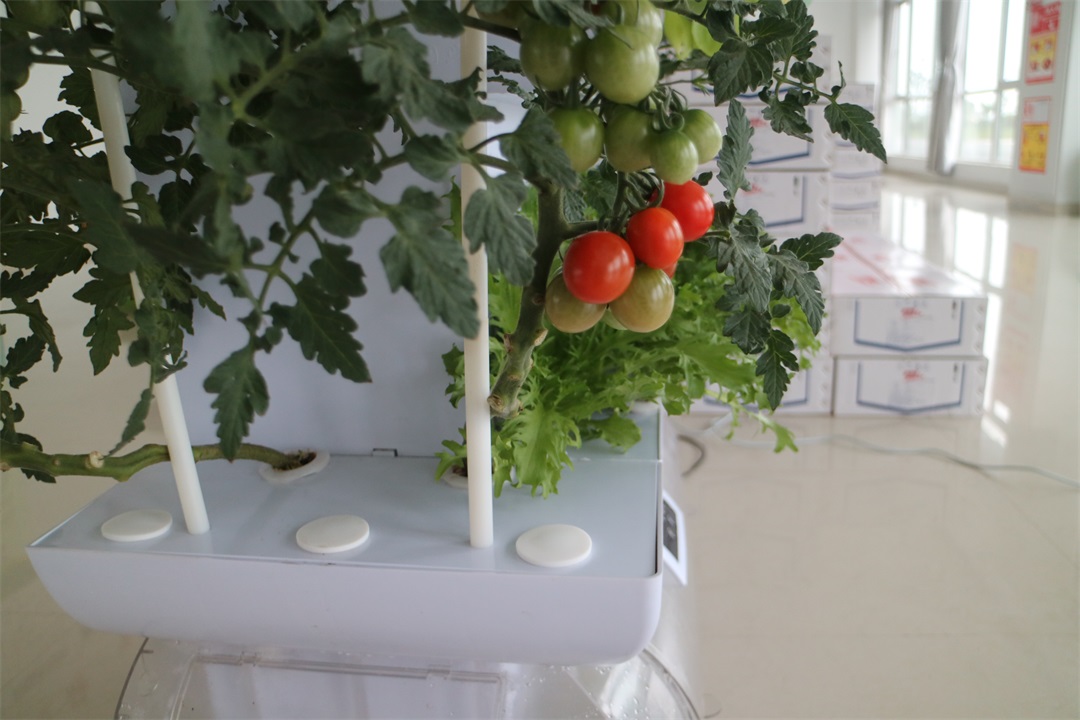 1628590527994601.jpg 1628590527994601.jpg