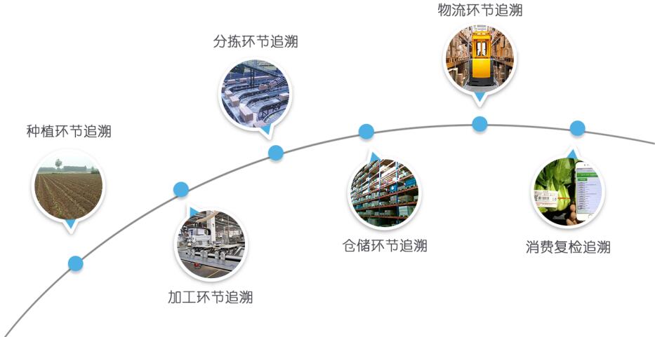 1629106003804409.jpg 1629106003804409.jpg