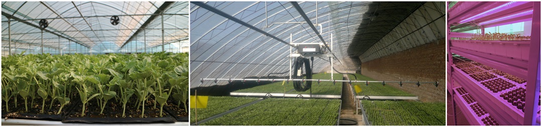 1629600535906562.jpg 1629600535906562.jpg