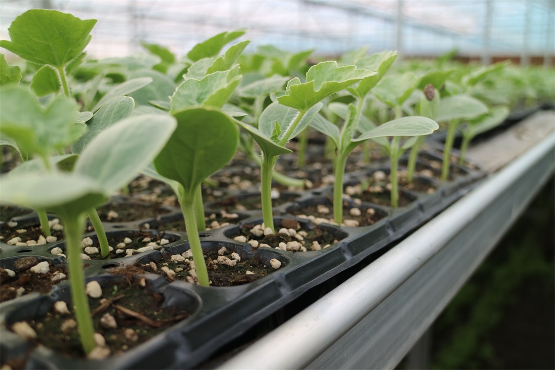 1629601242135361.jpg 1629601242135361.jpg