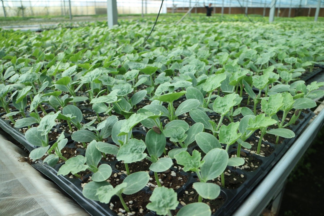 1629601242241689.jpg 1629601242241689.jpg