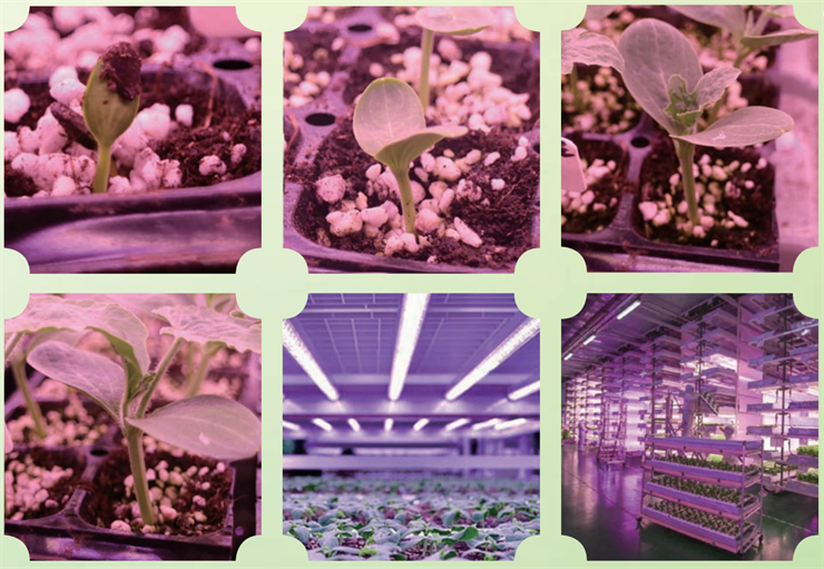 1629601873824472.png 18.png