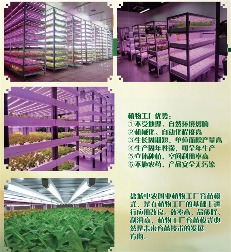 1629602008365611.jpg 19.jpg