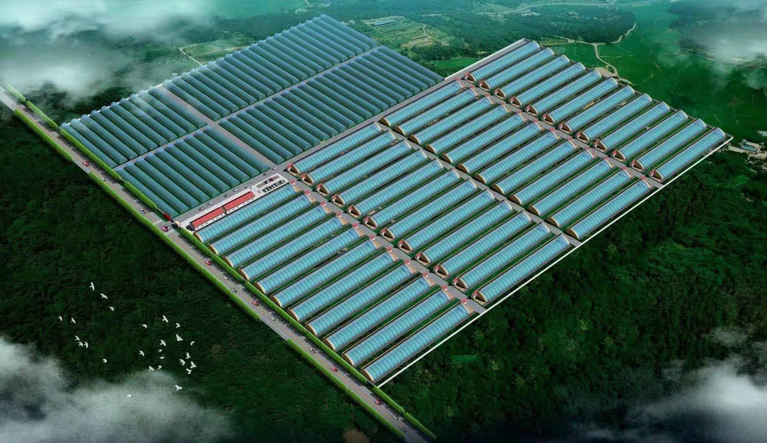 1630397211375752.jpg 1630397211375752.jpg