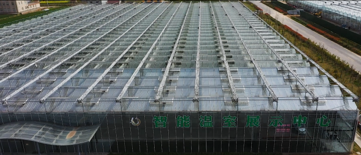 1630465751484361.png 25.0.png