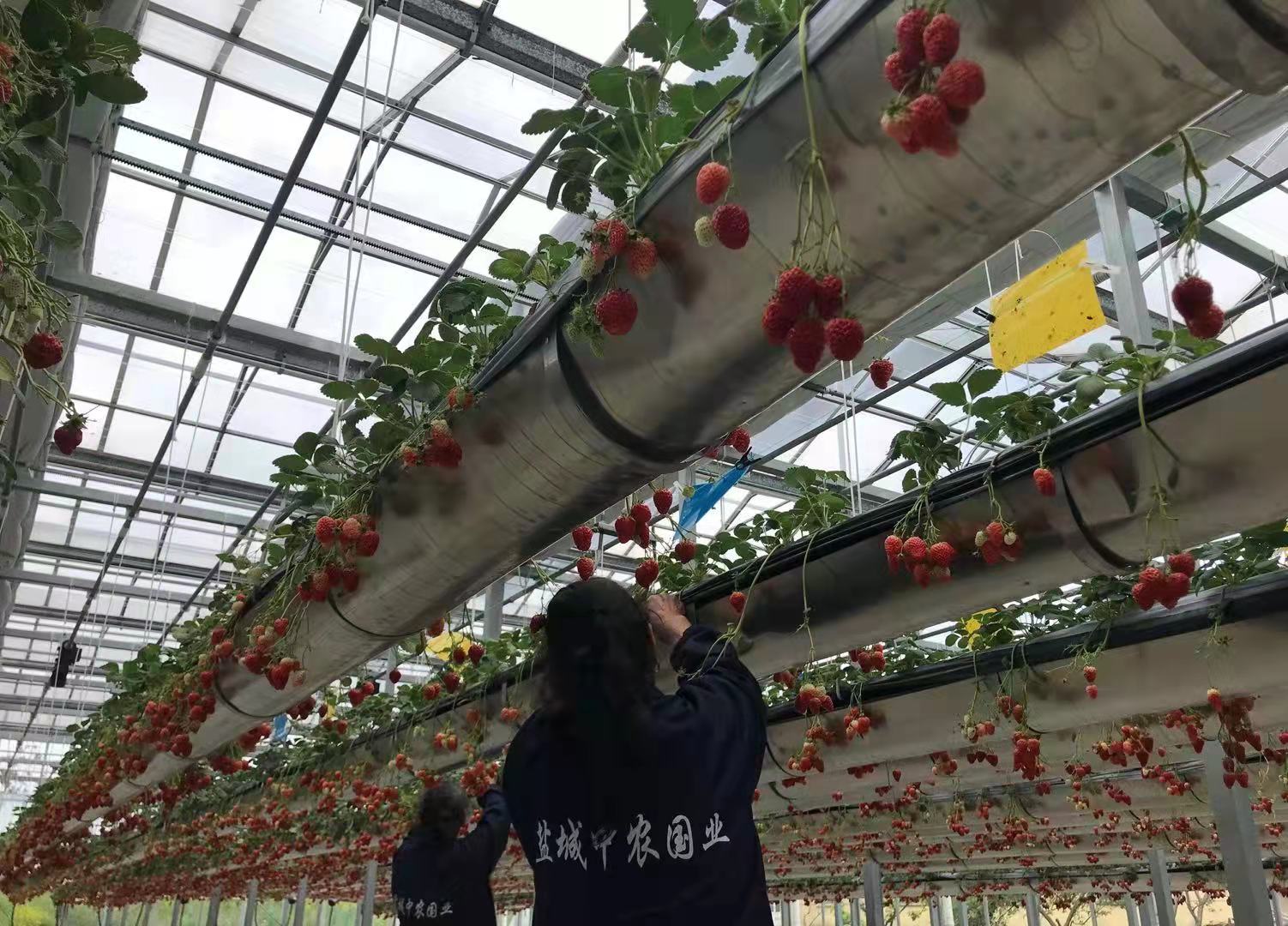 1630465868614117.jpg 1630465868614117.jpg