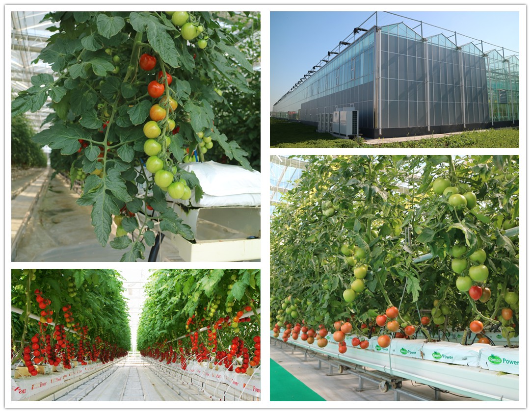 1630481018707062.jpg 1630481018707062.jpg