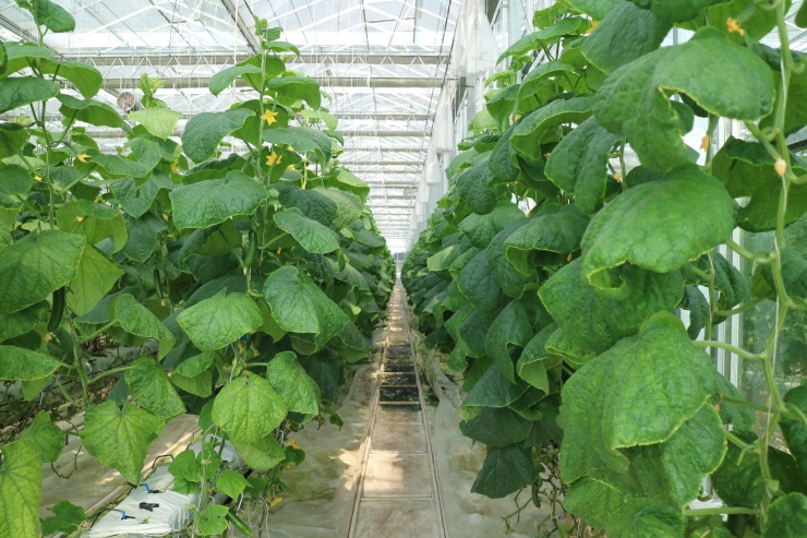 1630481139432550.jpg 1630481139432550.jpg