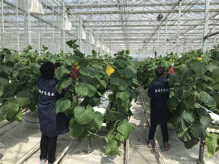 1630481139787960.jpg 1630481139787960.jpg