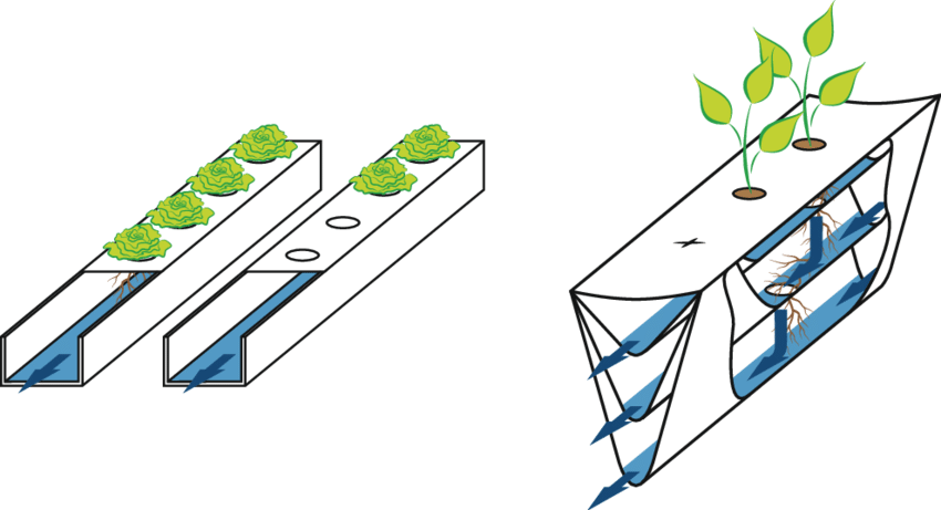 1630482935422493.png 1630482935422493.png