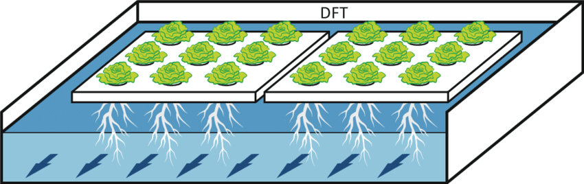 1630483354323615.png 1630483354323615.png