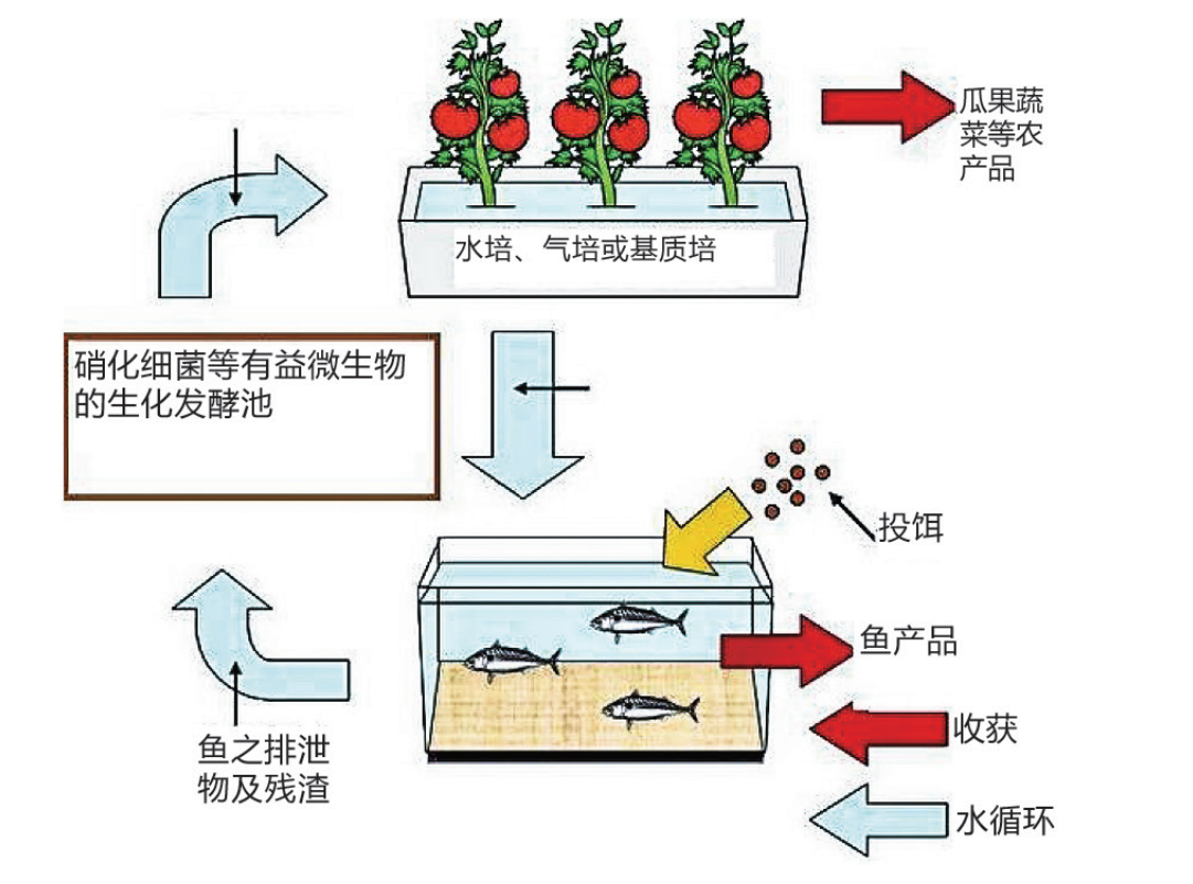 1630484087599744.png 1630484087599744.png