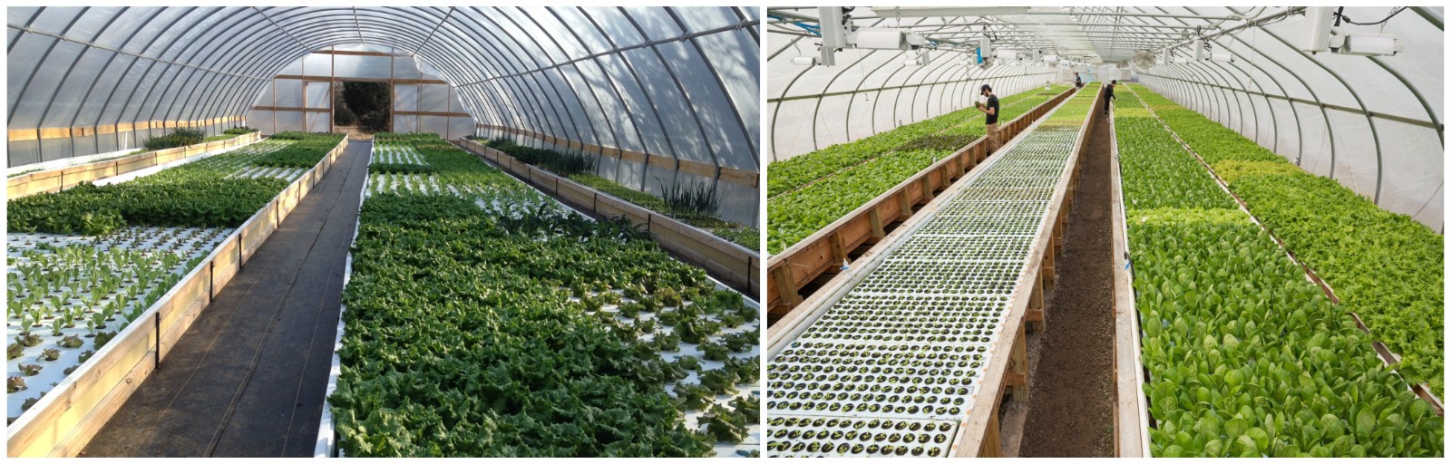 1630484278325218.jpg 1630484278325218.jpg