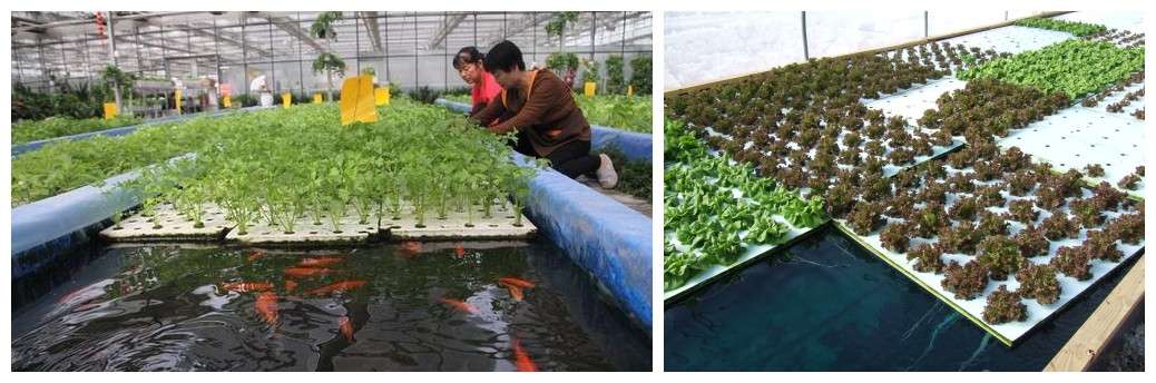 1630484278830057.jpg 1630484278830057.jpg