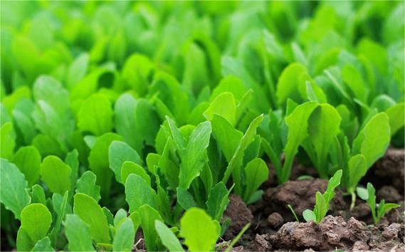 1689552836921605.jpg CF9833R875ChRkRluMrkaACn72AAFVf8AkN4M745.jpg