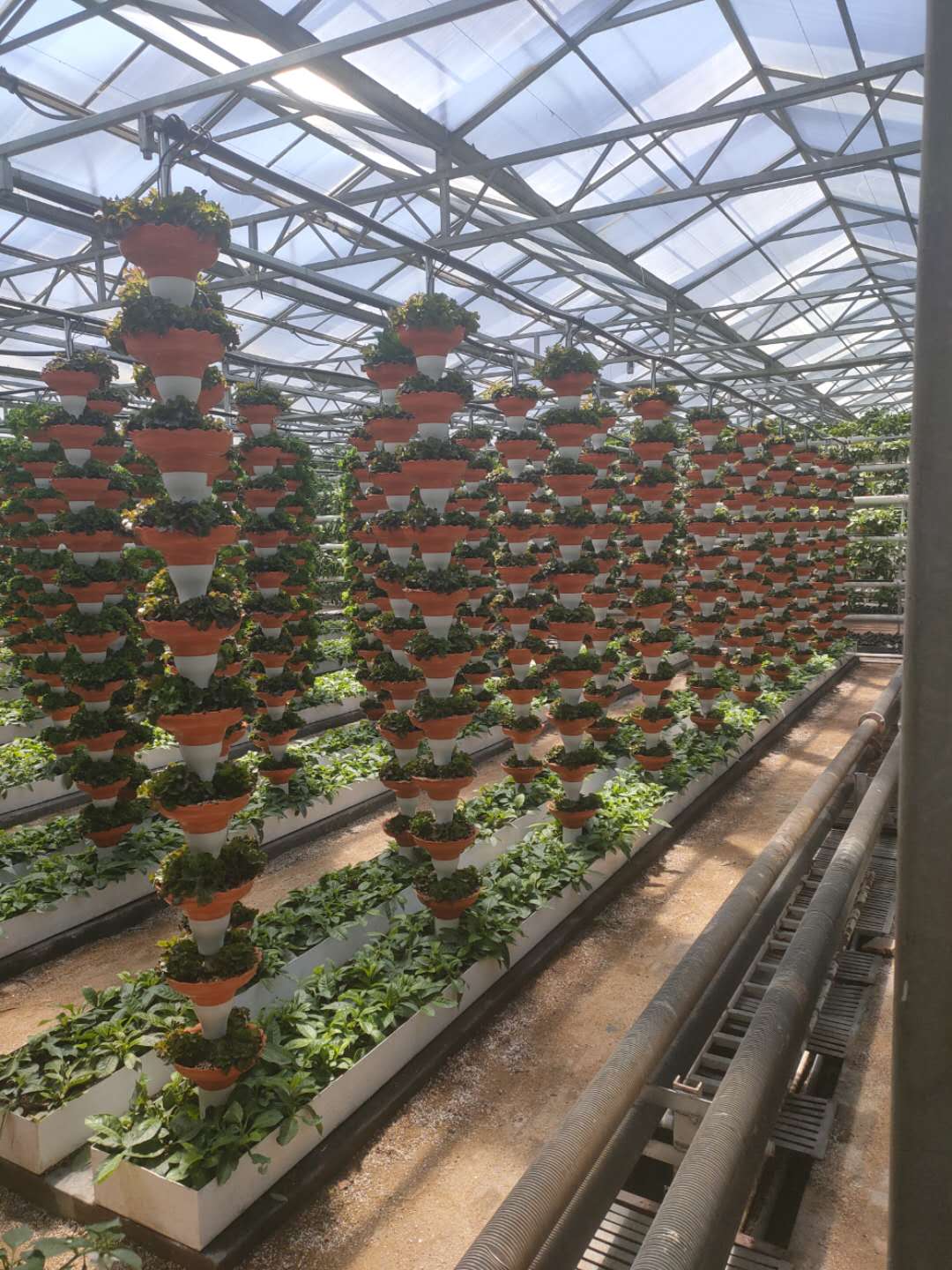 午夜福利理论片在线观看高清案例