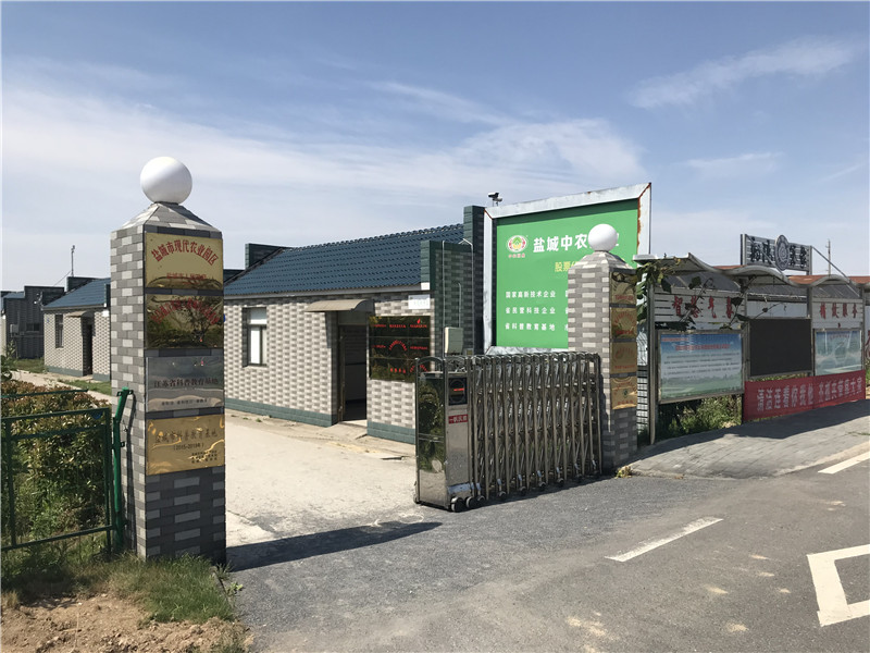 午夜黄视频基地