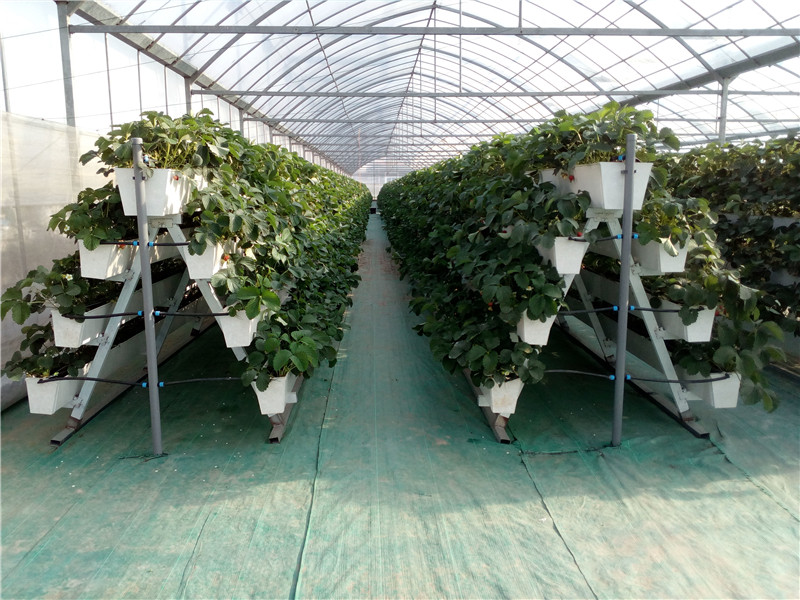 午夜黄视频基地