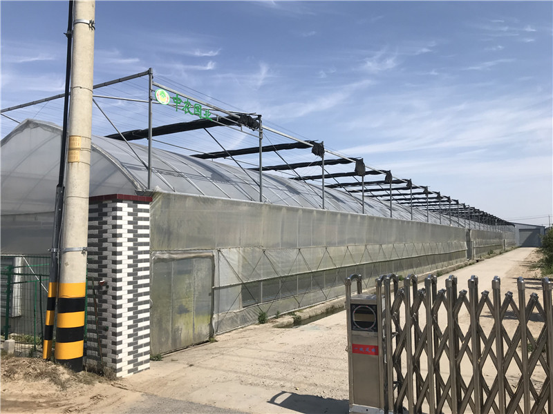 午夜黄视频基地