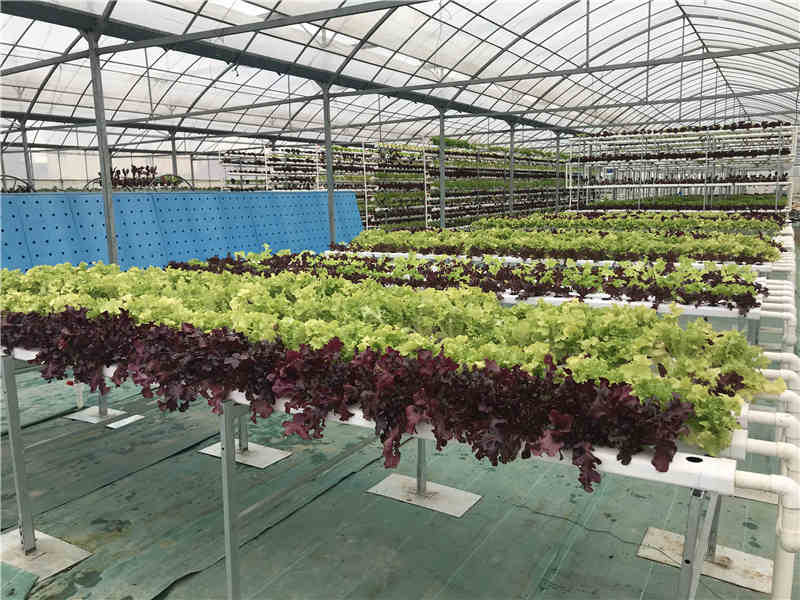 浅液流午夜黄视频