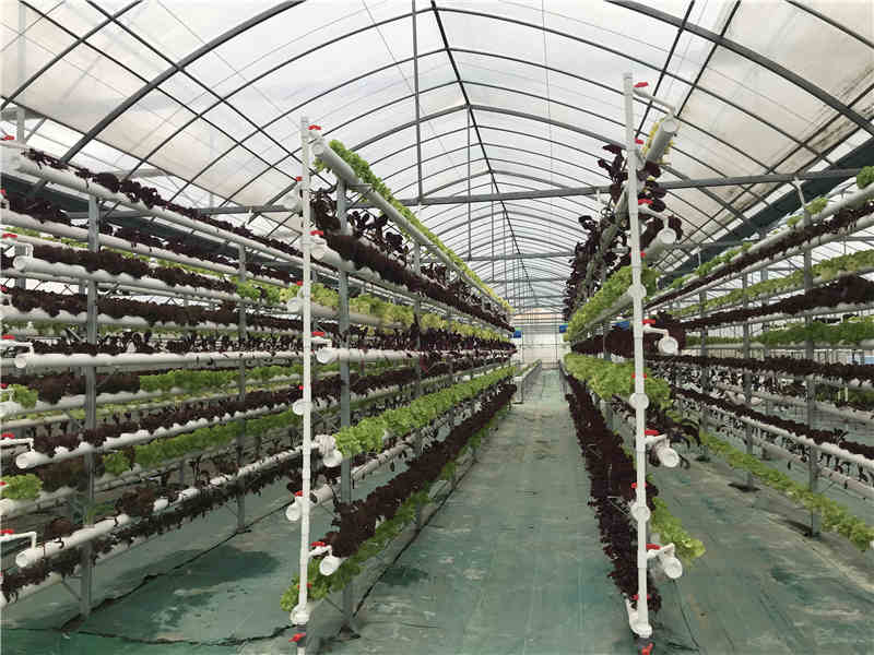 立体午夜黄视频