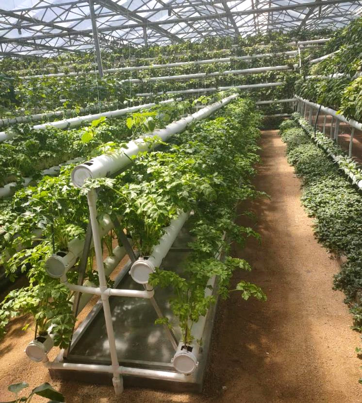 午夜福利理论片在线观看高清案例